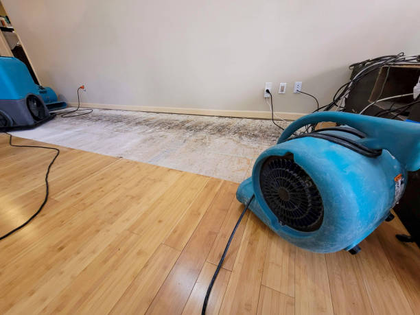 Professional Water Removal technician working in Pierson, FL